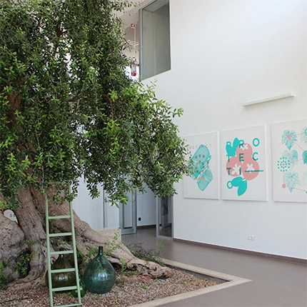 Produttori di coperture per l'agricoltura